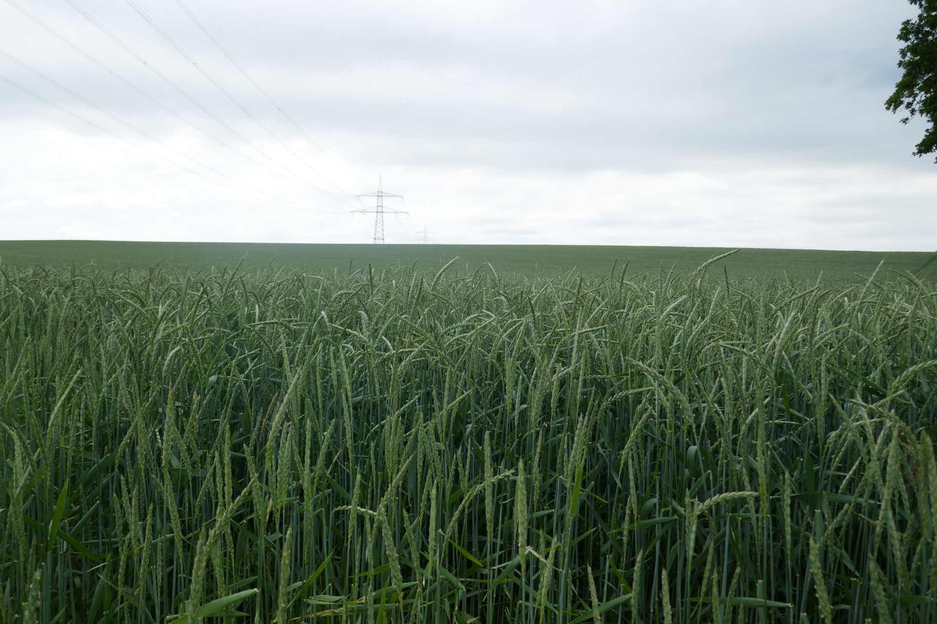 05 Albschäferweg - 2 Tages Wanderung im Juni